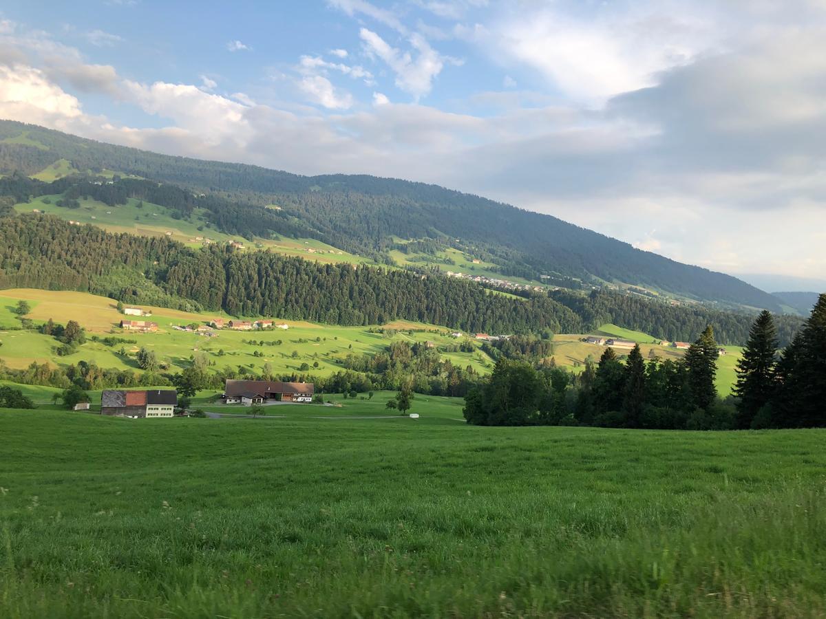Allgau Landhotel Оберройте Экстерьер фото